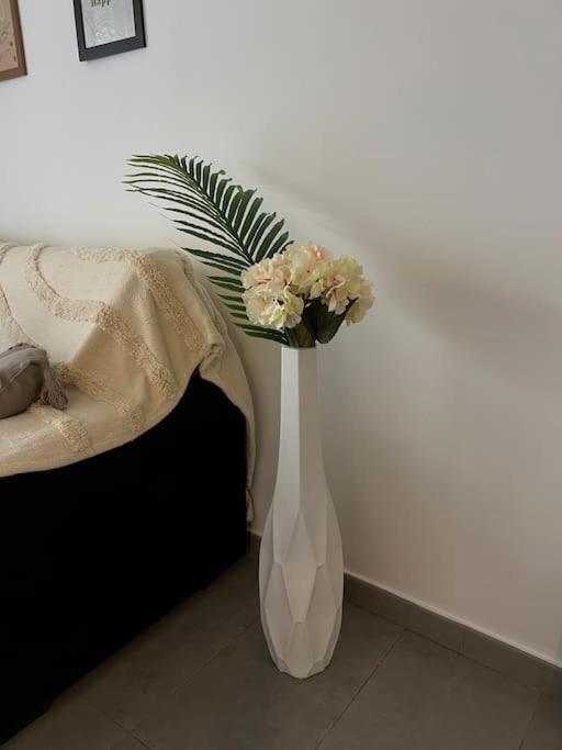 Piso Con Terraza A 5 Min Del Mar Apartment Alcanar Ngoại thất bức ảnh